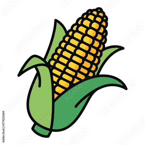 Fresh Corn on the Cob - A Delicious Summer Treat.