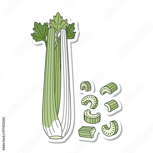 Fresh celery stalks and sliced pieces, healthy vegetable food.