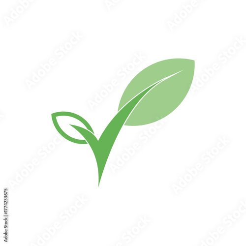 Leaf mint logo vector template