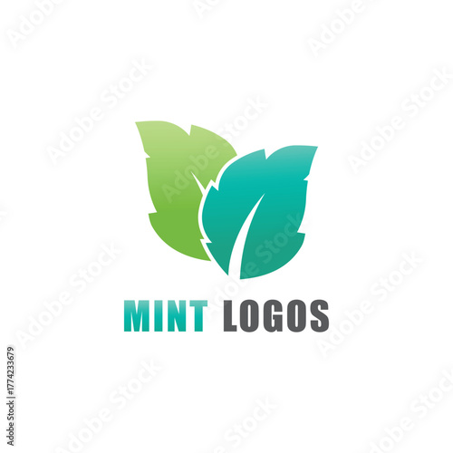 Leaf mint logo vector template