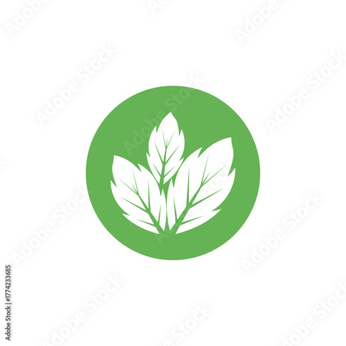 Leaf mint logo vector template