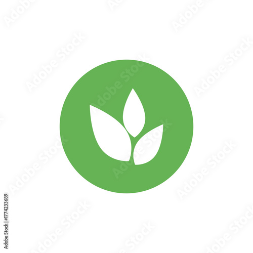 Leaf mint logo vector template