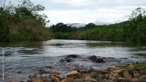 Water flowing in the river in the tropical forest