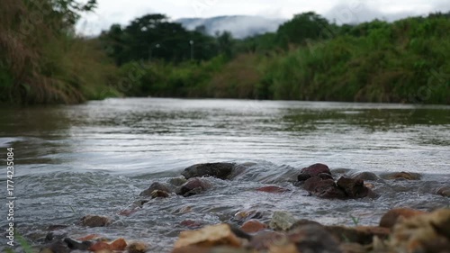 Water flowing in the river in the tropical forest