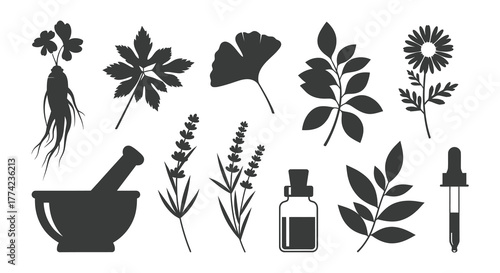 Collection of botanical and herbal elements in a minimalist silhouette style for natural remedies and wellness
