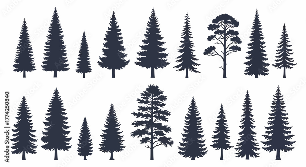 Obraz premium Vector Collection of Coniferous Trees Nature-Inspired Forest Element Set