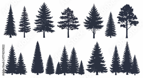 Vector Collection of Dark Silhouetted Pine Trees for Nature and Landscape Designs