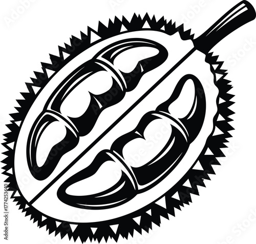 Durian fruit vector illustration exotic fruit tropical fruit design art eps silhouette