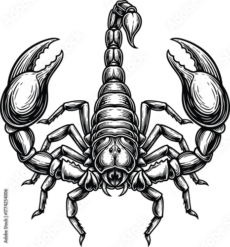 Buy pirate binoculars online find best deals on skull and crossbones gear eps silhouette