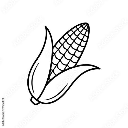 Outline drawing of corn on transparent background