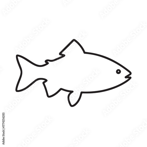 vector illustration of a fash