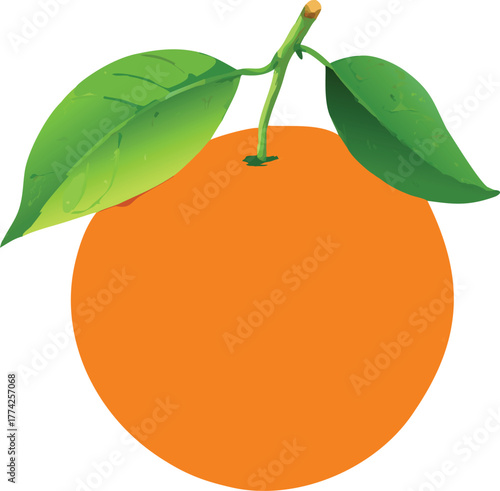 A simple illustration depicts a vibrant orange with two green leaves attached