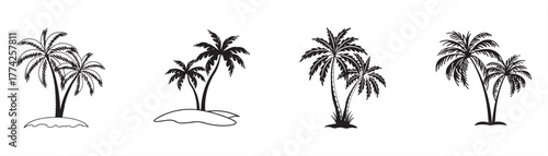 Collection of palm tree silhouettes for design