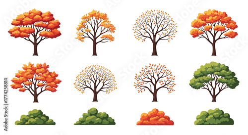 Diverse collection of autumn and deciduous trees with vibrant fall colors and bare branches, complemented by green and autumn-colored bushes.