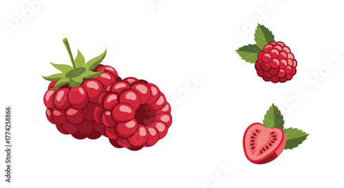 Vibrant red raspberries and a stylized cross-section of a berry, accompanied by fresh green leaves, isolated on a clean white background.