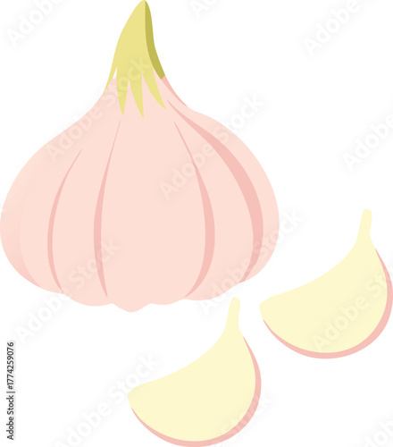 A colorful illustration of a whole garlic bulb and separated cloves