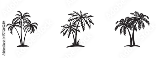 Set of palm tree silhouettes for your design