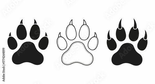 Vector Paw Prints Three Distinct Animal Track Designs for Creative Projects