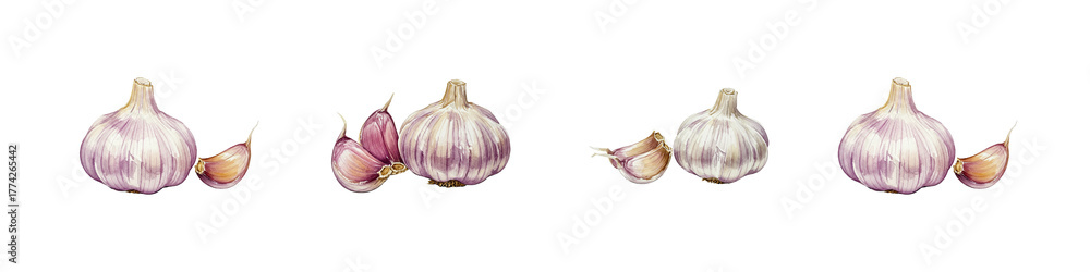 Obraz premium Garlic cloves and bulbs cutout transparent png set