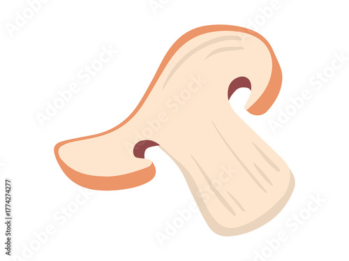 Fungus Slice Illustration
