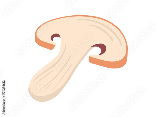 Agaricus Bisporus Mushroom Slice