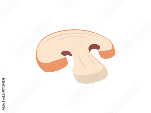 Agaricus Bisporus Mushroom Slice