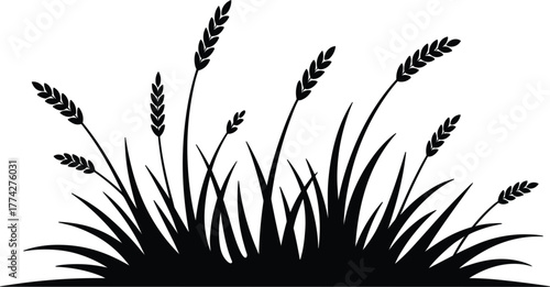 Wheat and Grass Silhouette Vector - Farm Agriculture Crop Border Design