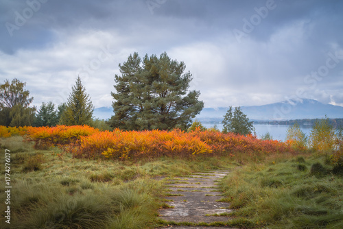 Fototapeta Naklejka Na Ścianę i Meble -  Colorful autumn shrubs and pine trees by a mountain lake in the Beskidy Mountains, Poland. Misty hills, calm water and soft seasonal light create a peaceful fall landscape.