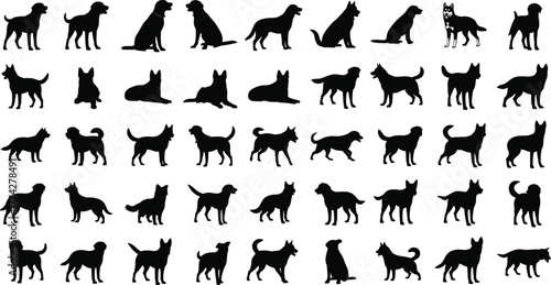 Silhouette dogs vector collection, black canine poses, domestic pet shapes, walking standing sitting animals, graphic outline bundle for design use