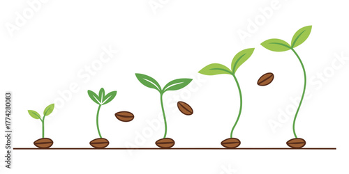 Vector illustration showing the life cycle of a plant with seeds and leaves in various growth stages on white background