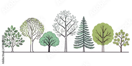 Vector illustration of a diverse group of trees with different shapes and foliage styles in a row format