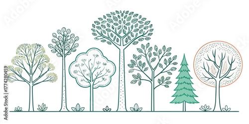 Vector illustration showing a variety of different trees with foliage and a simple ground line design element