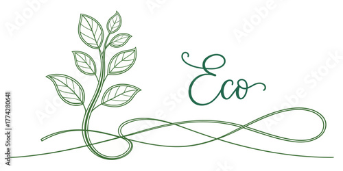 Vector illustration of a plant with leaves and the word eco in green cursive with a decorative line below it