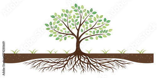 Vector illustration of a tree with green leaves and visible roots in the ground with grass growing on top