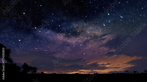 Fototapeta Naklejka Na Ścianę i Meble -  A starry night sky with a Milky Way galaxy, a silhouette of a tree, and a dark horizon with a few clouds.