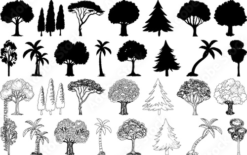 A diverse collection of tree illustrations, featuring both solid black silhouettes and detailed line art sketches of various species.