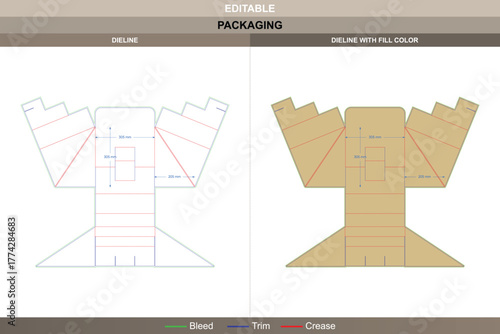 POS display box packaging dieline shaped through refined vector mapping ensuring printing stability and packaging precision triangular die line folds define display structure