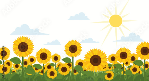A vibrant field of sunflowers basks under a bright, sunny sky with fluffy clouds.