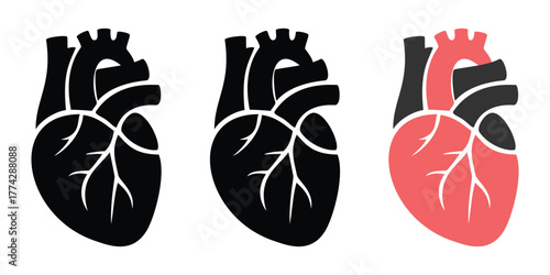 Human heart anatomical icons silhouette set for cardiology, health, and medical business logo design