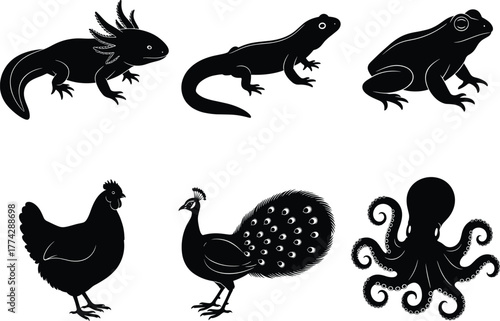 Animal silhouette set, black vector icons of axolotl, lizard, frog, chicken, peacock, and octopus for nature and wildlife themes