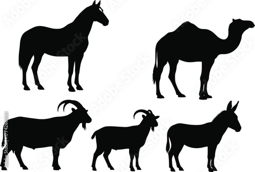 Farm and desert animal silhouette set, black vector icons of horse, camel, goat, and donkey for rural and wildlife themes