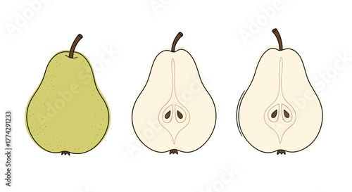 Detailed illustration of fresh green pears, with one whole and two halves displaying their internal core and seeds.