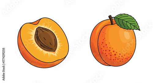 A vibrant illustration of two fresh apricots, one whole with a green leaf and stem, the other cut in half revealing its pit.