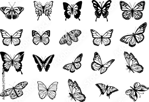 Botanical Butterfly Vector Set – Black and White Silhouettes of Natural Winged Insects