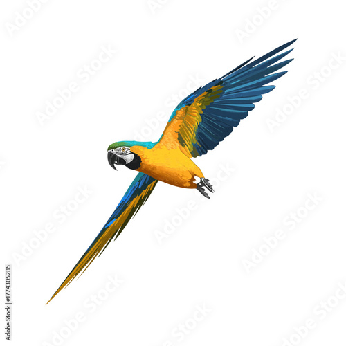 A vibrant blue and gold macaw soars against a clean white background, wings spread wide in flight.