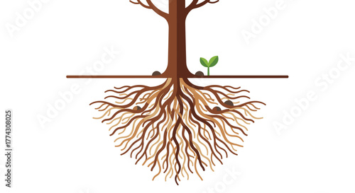 Illustration of a healthy tree's extensive root structure supporting its visible trunk, with seeds and a fresh sprout above ground.