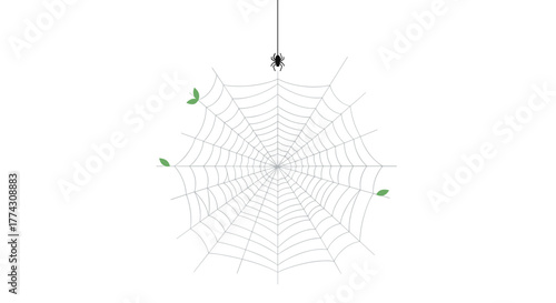 A black spider hangs above a delicate, symmetrical spiderweb with green leaves on a pristine white background.