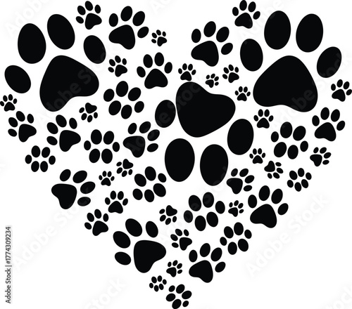 Isolated catfish vector illustration, fishing and wildlife design art eps silhouette