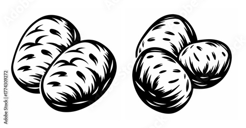 Artistic black and white drawing of several fresh potatoes isolated on a clean background surface