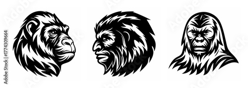 Evolutionary path depicted ape gorilla hominid and cryptid bigfoot faces simplified art